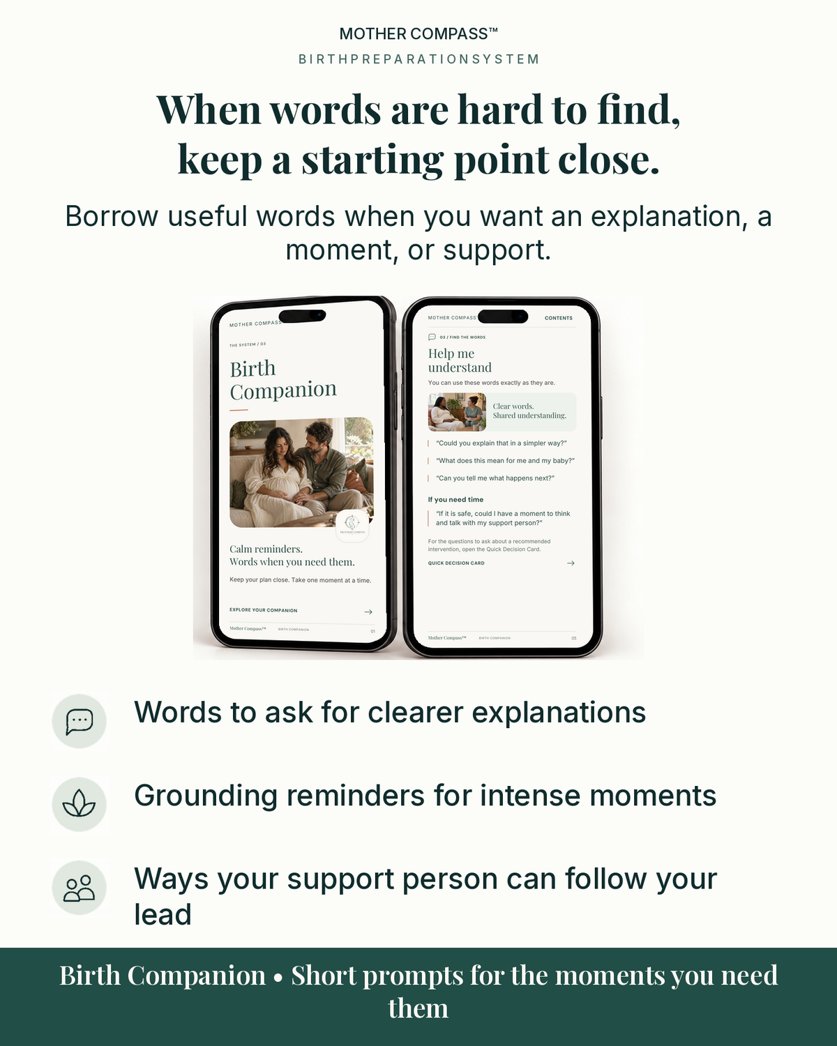 Mobile-friendly Birth Companion with communication prompts and support reminders